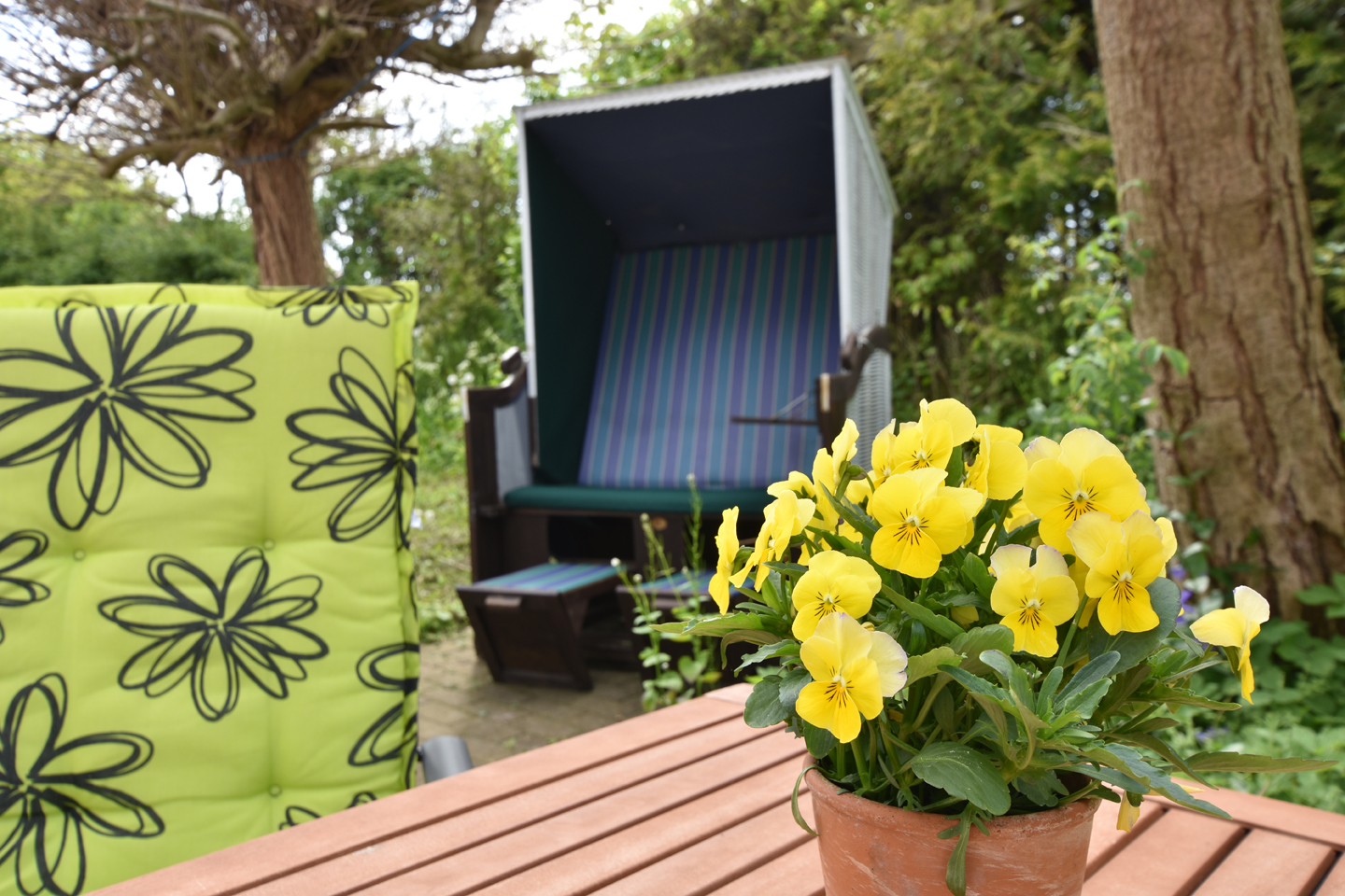 DSC_0442_ZumBreitlingApp5_72